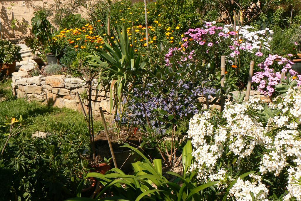 Bed and Breakfast L' Escale Tranquille Sète Zewnętrze zdjęcie
